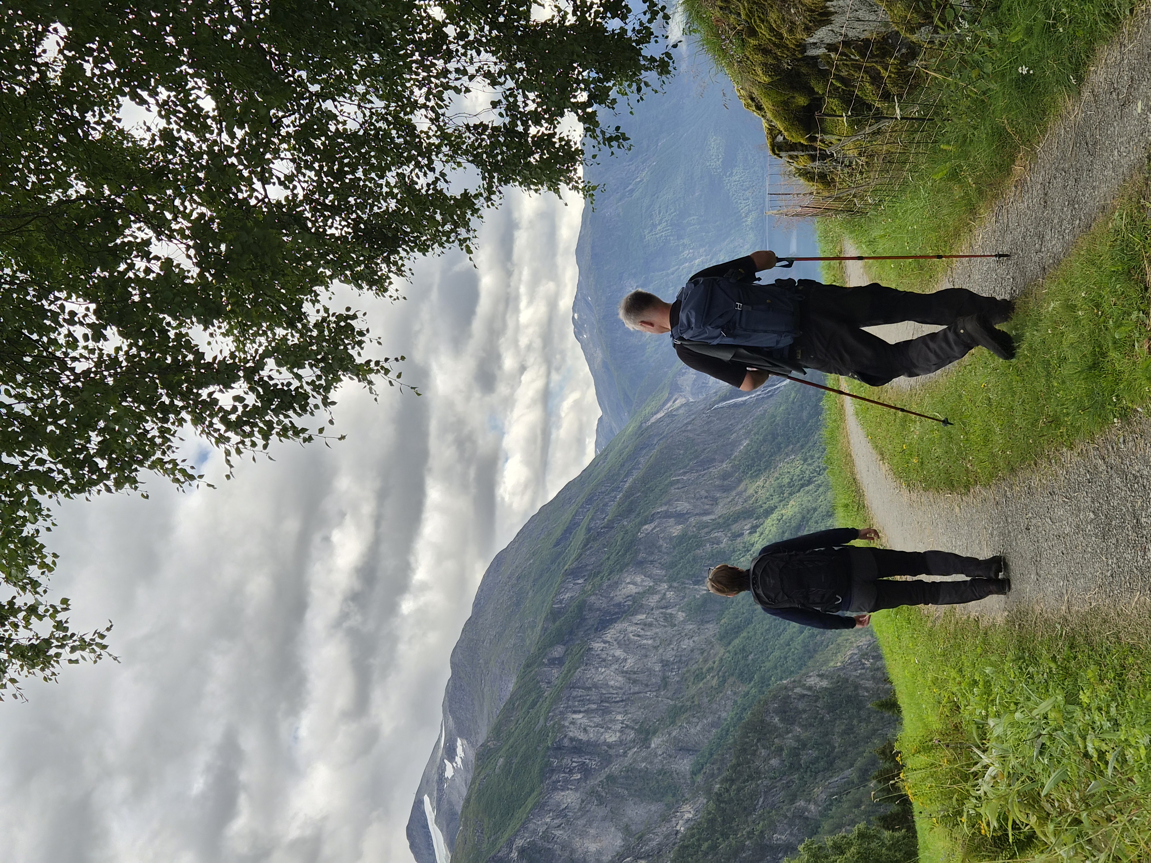Vandrare med utsikt över fjorden